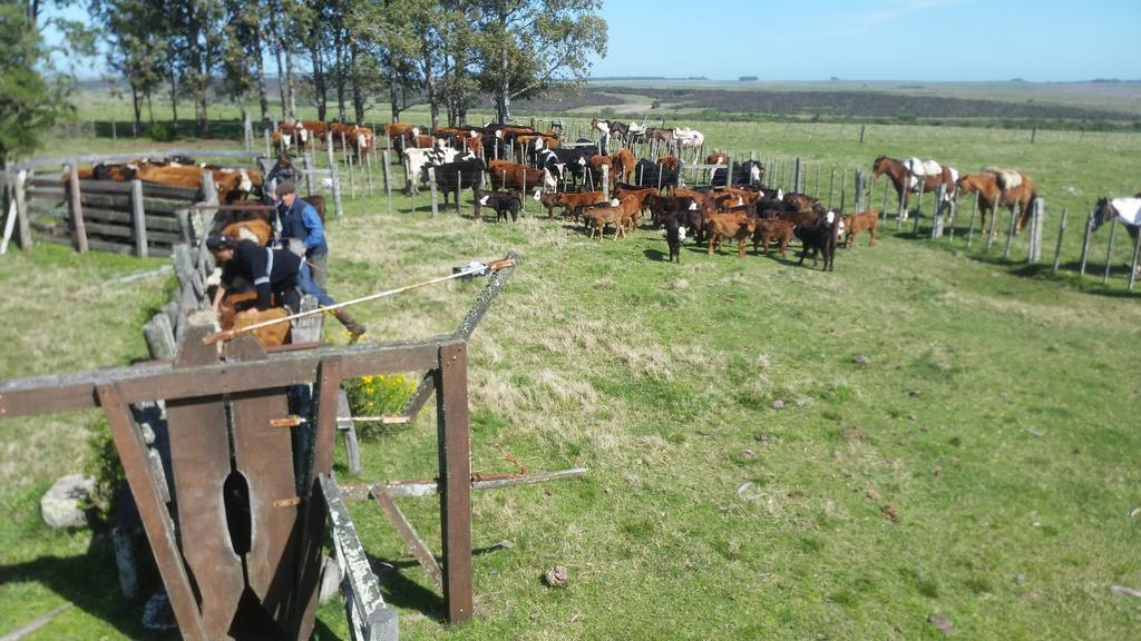 Estancia Turistica La Amorosa 特立尼达 客房 照片