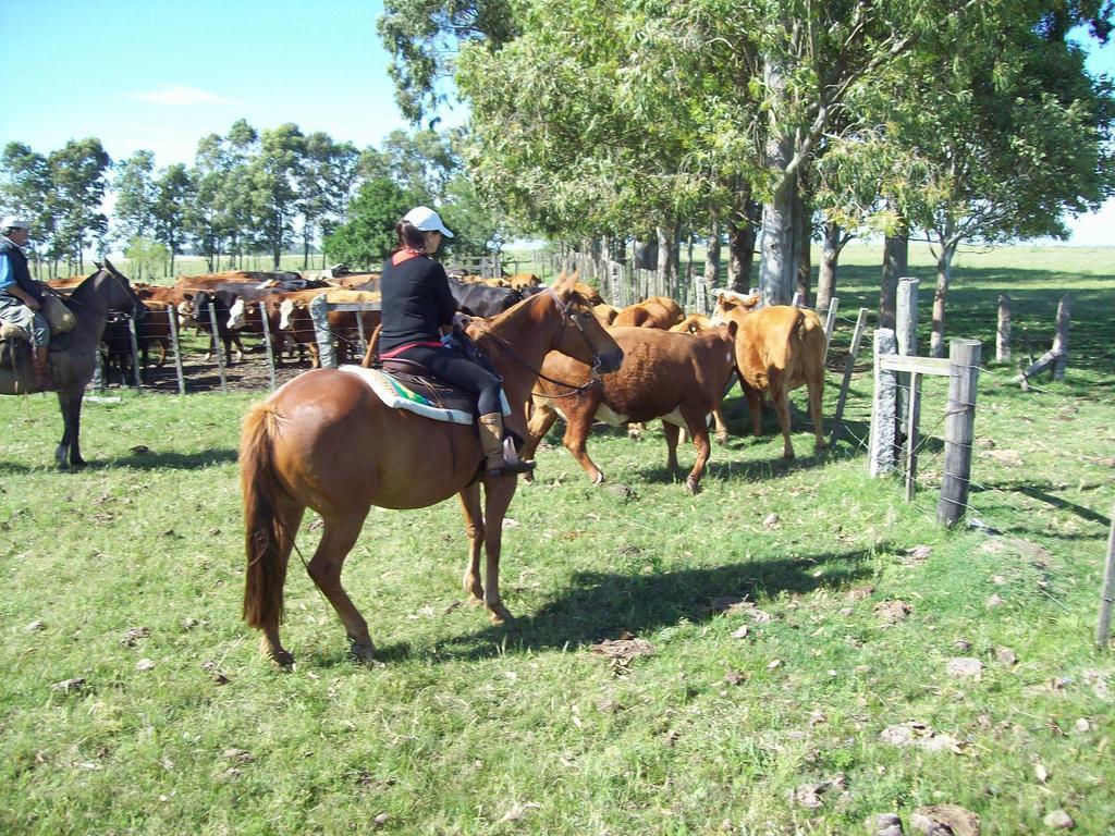 Estancia Turistica La Amorosa 特立尼达 客房 照片