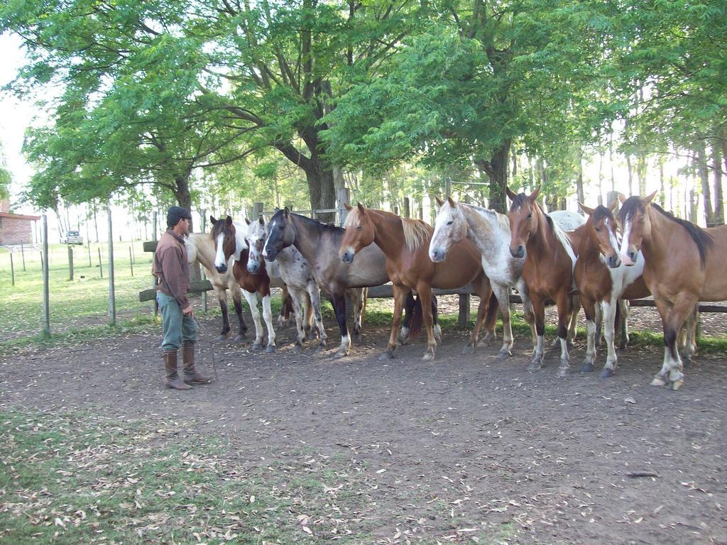 Estancia Turistica La Amorosa 特立尼达 客房 照片